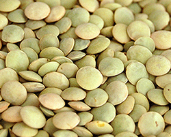ORGANIC LENTILS AND PULSES