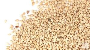 Organic Sesame Natural