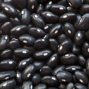 Organic Black Kidney / Turtle Bean