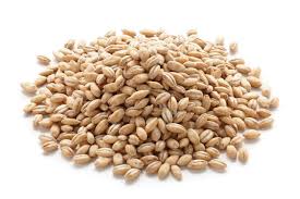 Organic Barley, Pearl